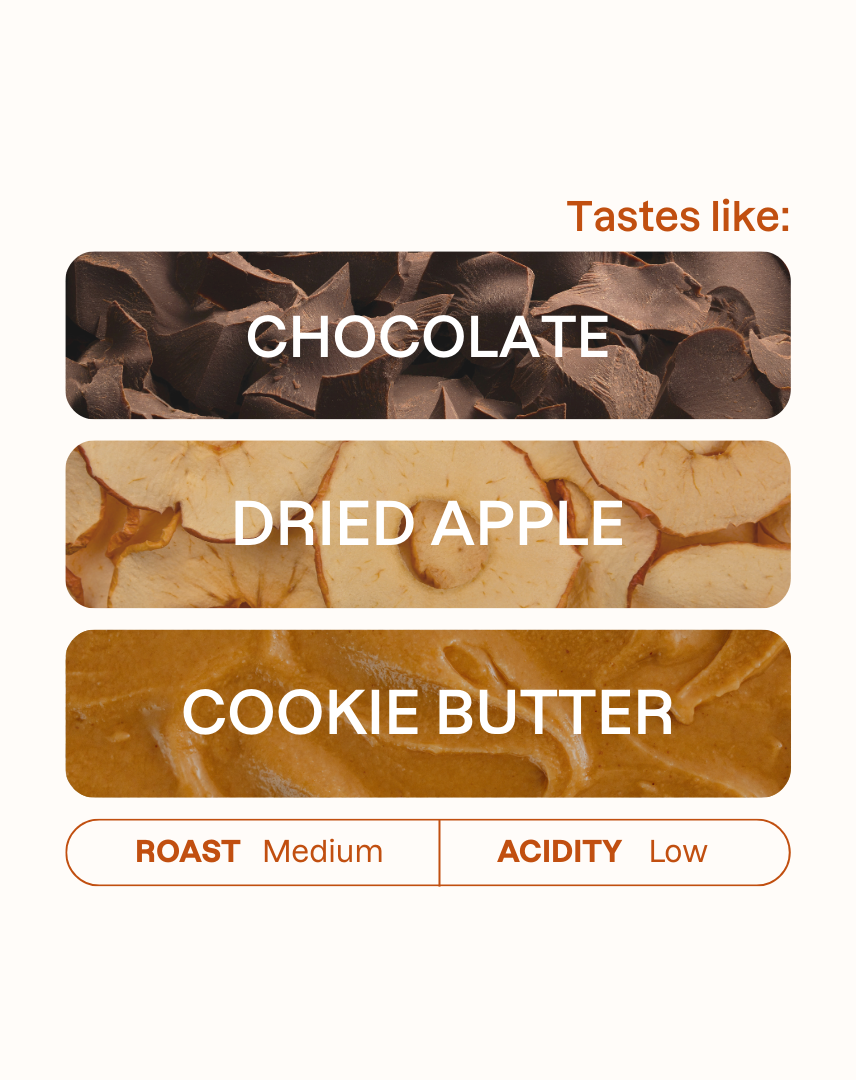 Tasting note graphic for Carlos Cadena coffee highlighting Chocolate, Dried Apple, and Cookie Butter flavors.