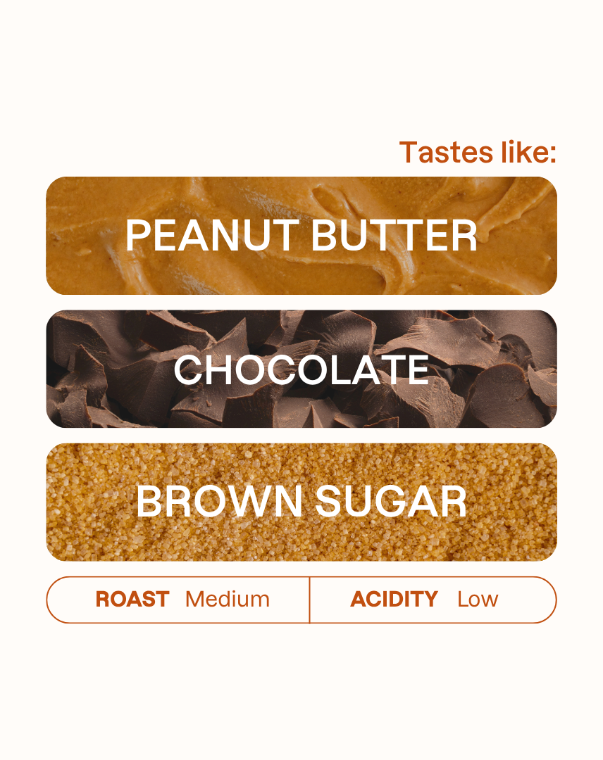 Tasting note graphic for Daterra Pearl coffee highlighting Peanut Butter, Chocolate, and Brown Sugar flavors.