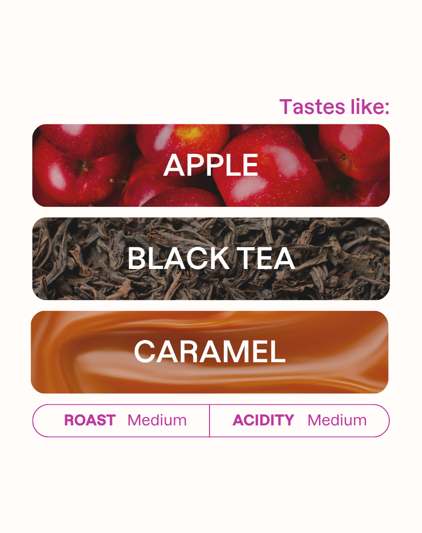 Tasting note graphic for Luis Choquehuanca coffee highlighting Apple, Black Tea, and Caramel flavors.
