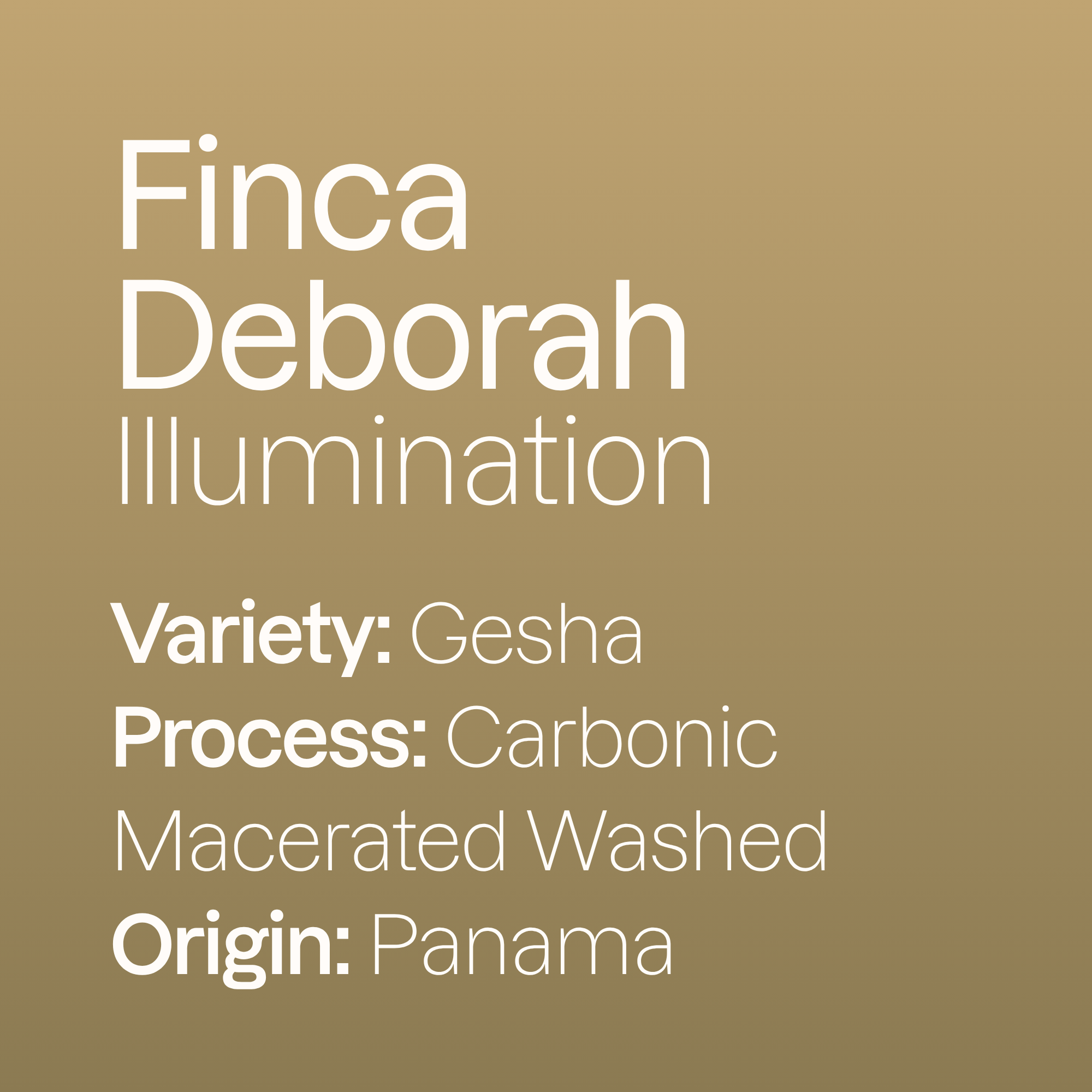 Finca Deborah Illumination