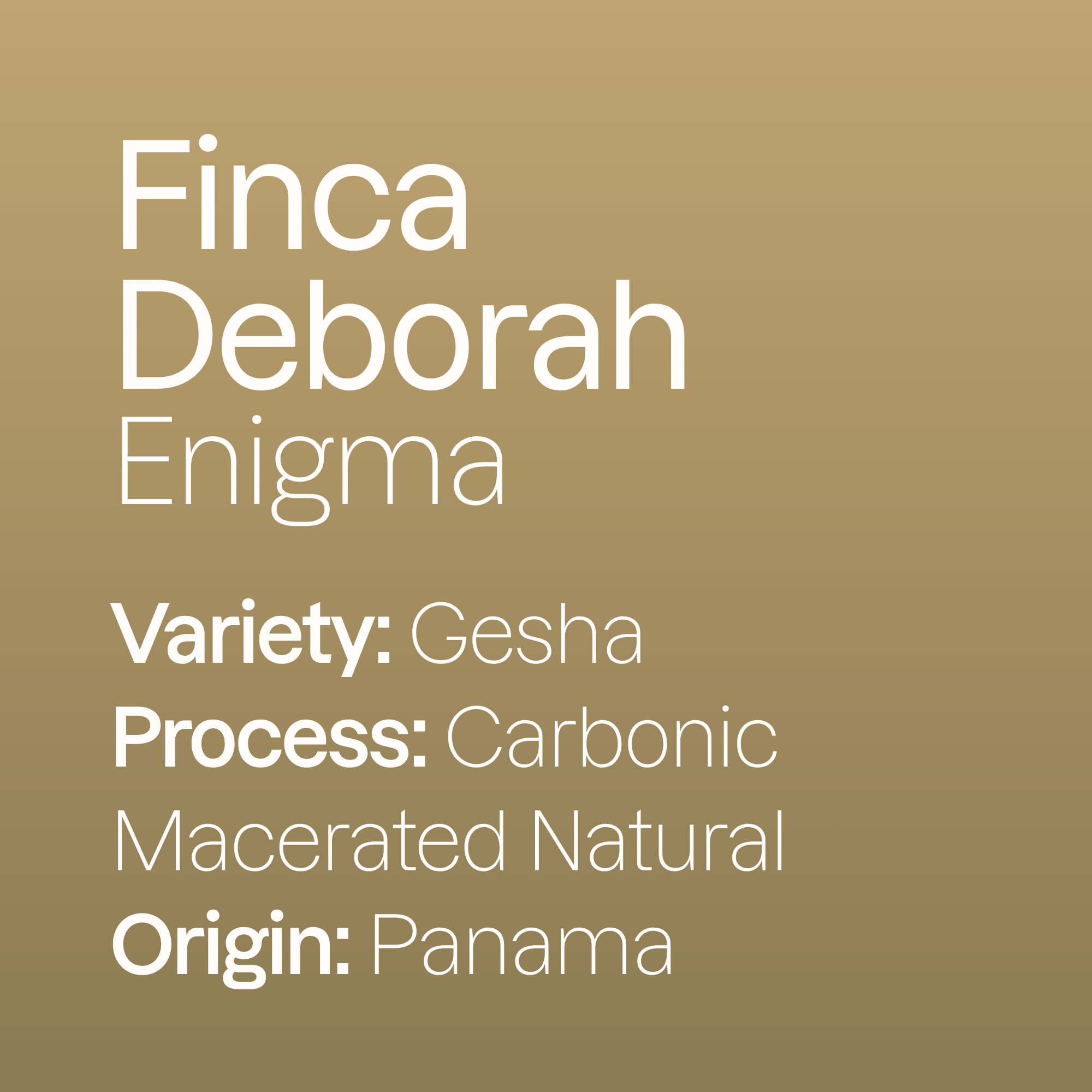 Finca Deborah Enigma