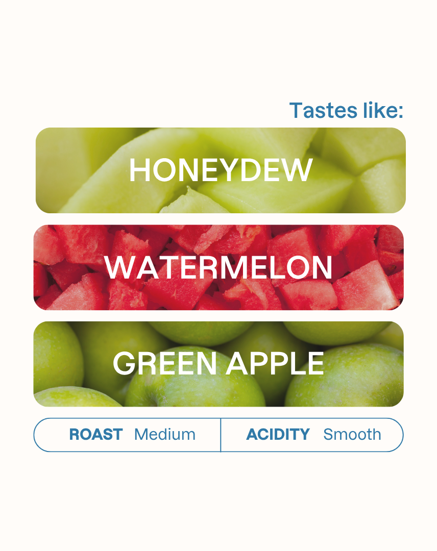 Tasting note graphic for Candy Blast coffee highlighting Watermelon, Honeydew, and Green Apple flavors.