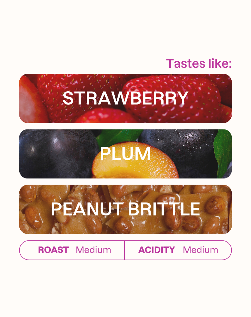 Tasting note graphic for Daterra Full Gravity coffee highlighting Strawberry, Plum, and Peanut Brittle flavors.