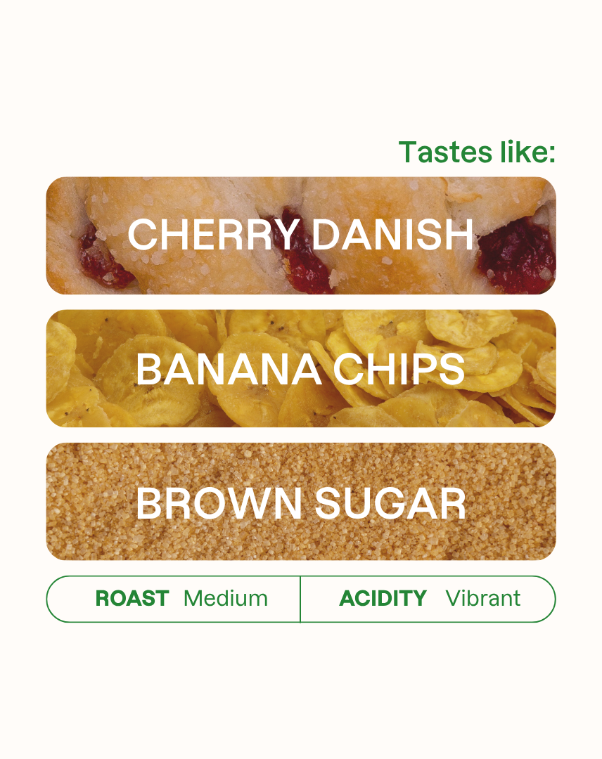 Tasting note graphic for Easy Mode coffee highlighting Cherry Danish, Banana Chips, and Brown Sugar flavors.