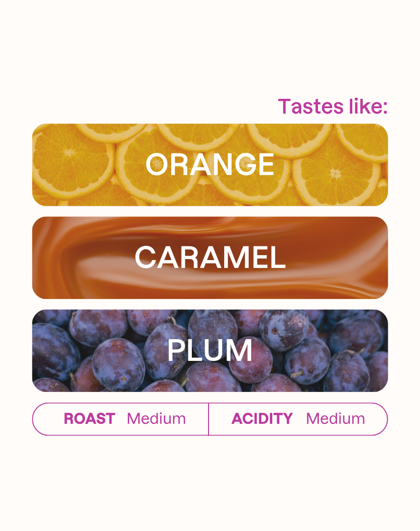 Tasting note graphic for Jairo Arcila Washed coffee highlighting Orange, Caramel, and Plum flavors.