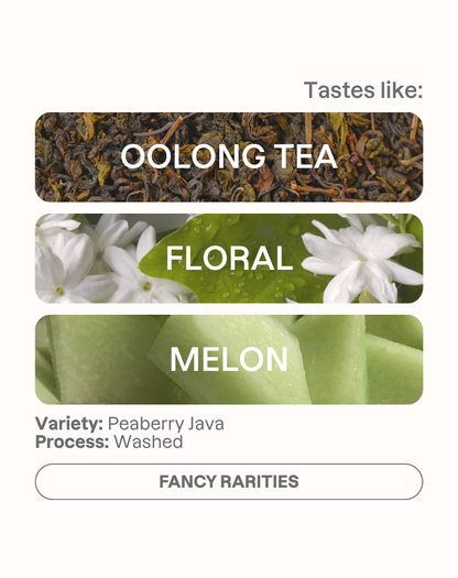 Tasting note graphic for Takesi Peaberry Java filter coffee highlighting Oolong, Floral, and Melon flavors.